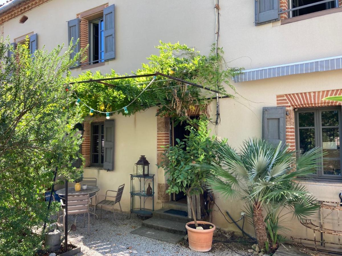 16 Bis-Gite-Hotel-Studio Marssac-sur-Tarn Eksteriør billede