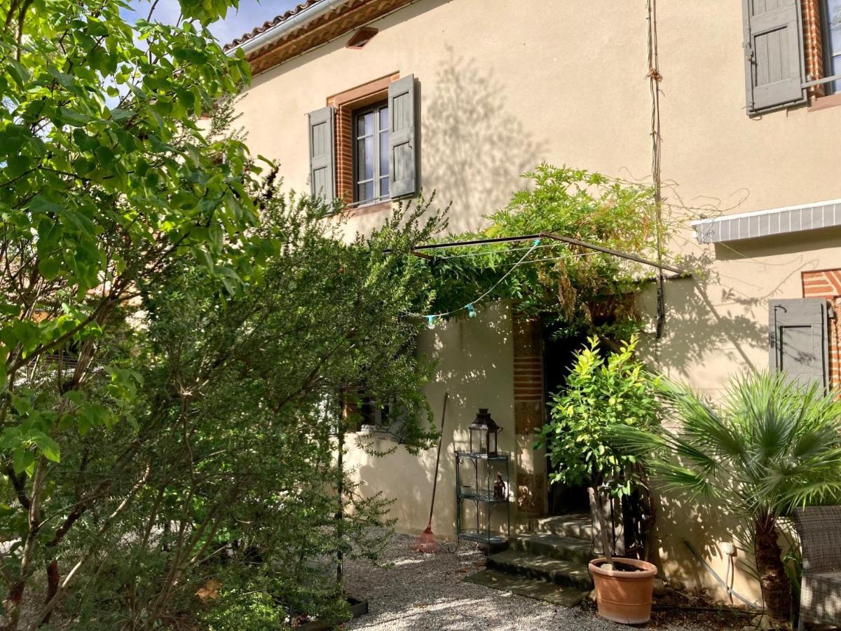 16 Bis-Gite-Hotel-Studio Marssac-sur-Tarn Eksteriør billede