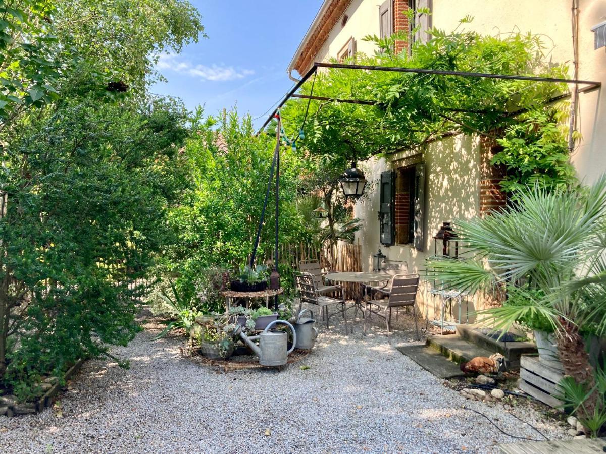 16 Bis-Gite-Hotel-Studio Marssac-sur-Tarn Eksteriør billede